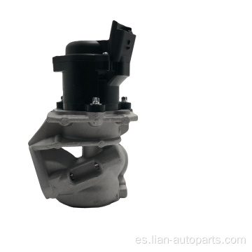 Válvula EGR Ventil para Citroen